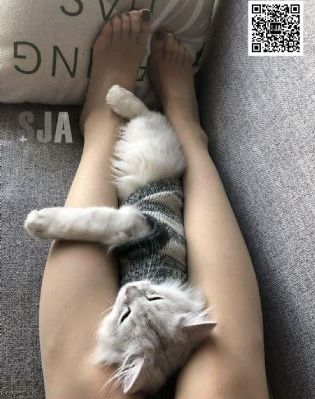 《风起洛阳》电视剧_720超清免费观看